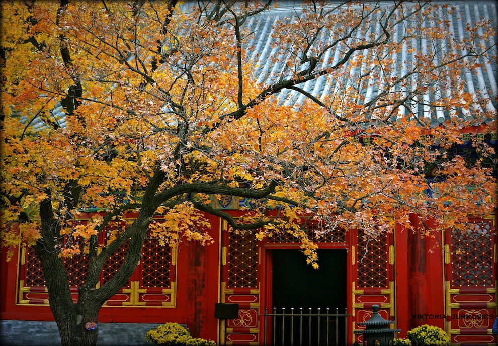 Xiangshan