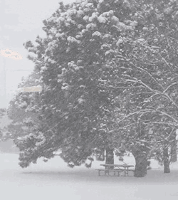 snow